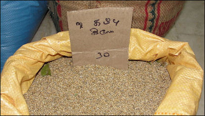 20120531-millet bag_of_cumbu.JPG